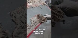 One Drop Will Ruin Your Car! 😱 One Drop Will Ruin Your Car! 😱